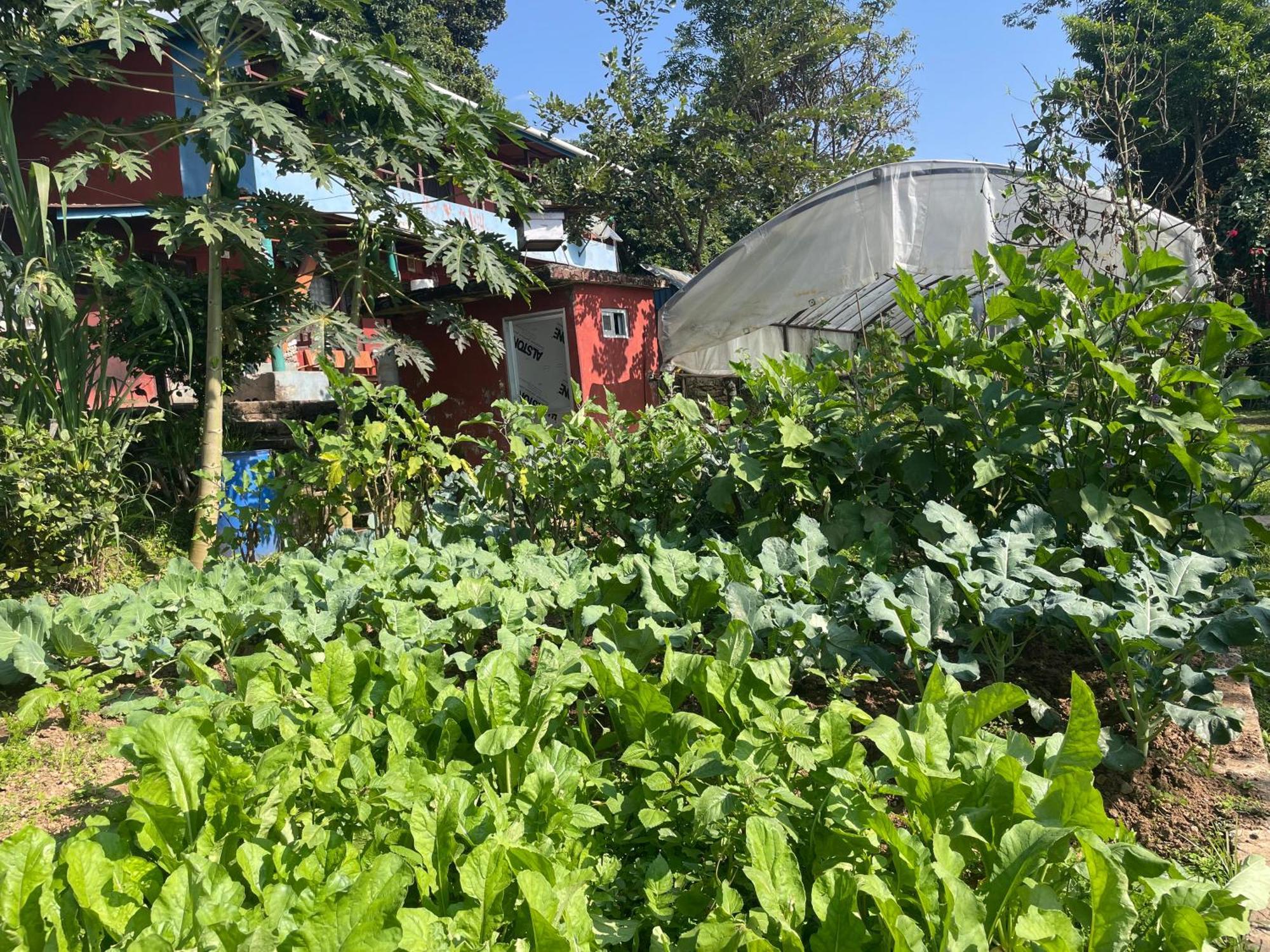 Himalaya Serene View Guest House & Farm Stay Deorāli Dış mekan fotoğraf