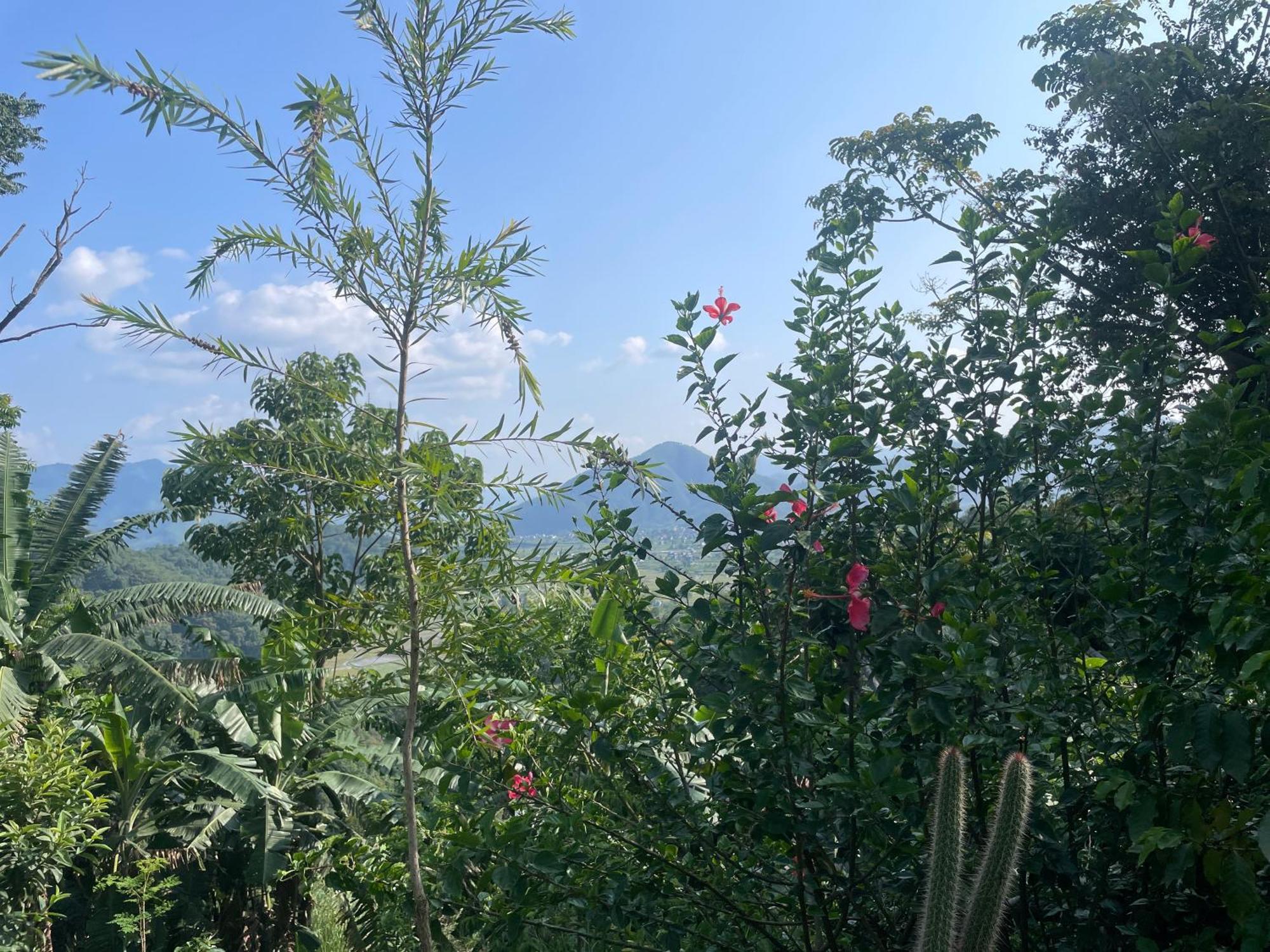 Himalaya Serene View Guest House & Farm Stay Deorāli Dış mekan fotoğraf